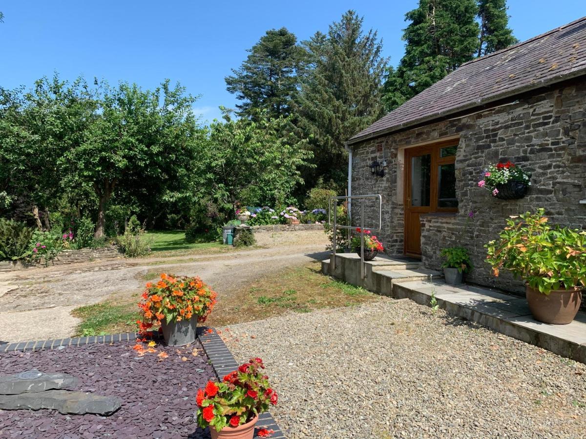 Parc Farm B&B Llanarth  Extérieur photo