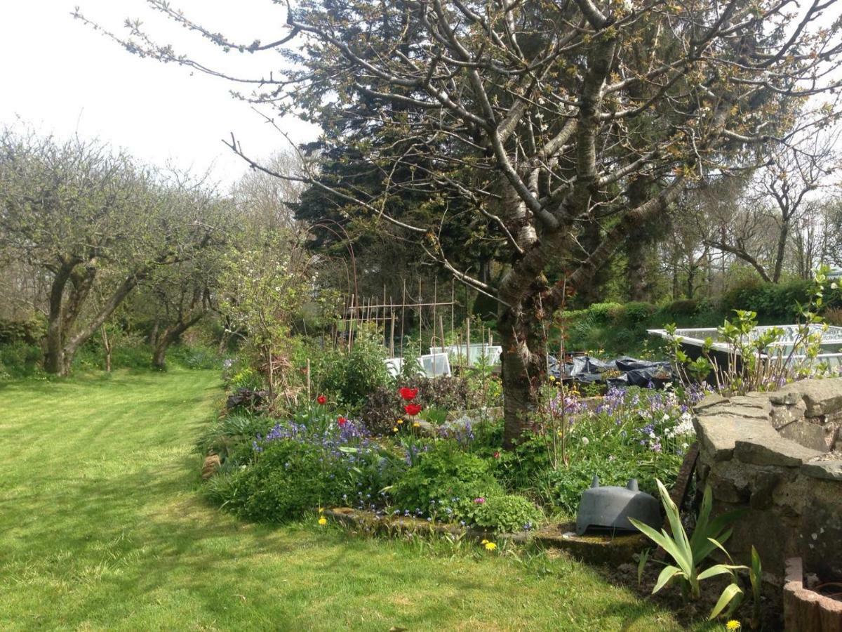 Parc Farm B&B Llanarth  Extérieur photo
