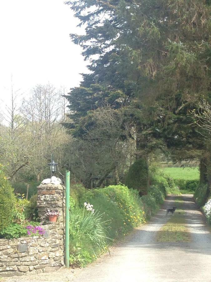Parc Farm B&B Llanarth  Extérieur photo